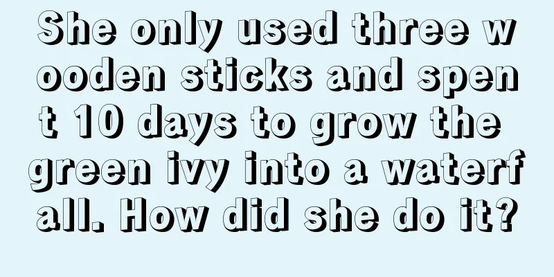 She only used three wooden sticks and spent 10 days to grow the green ivy into a waterfall. How did she do it?