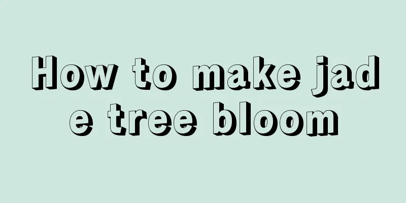 How to make jade tree bloom