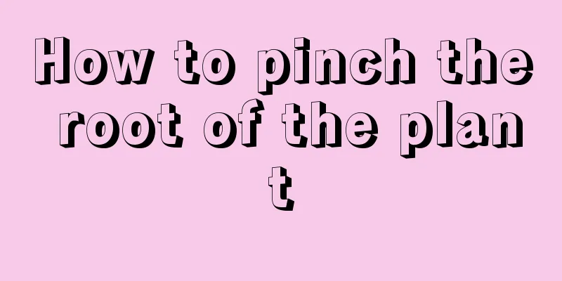 How to pinch the root of the plant