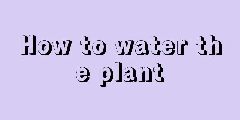 How to water the plant