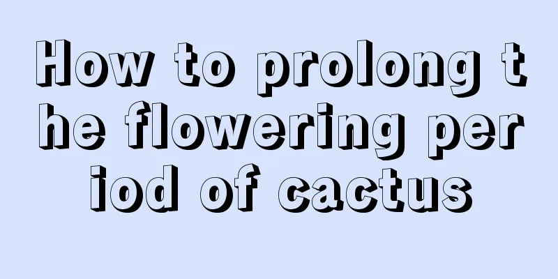 How to prolong the flowering period of cactus