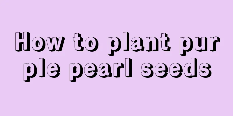 How to plant purple pearl seeds