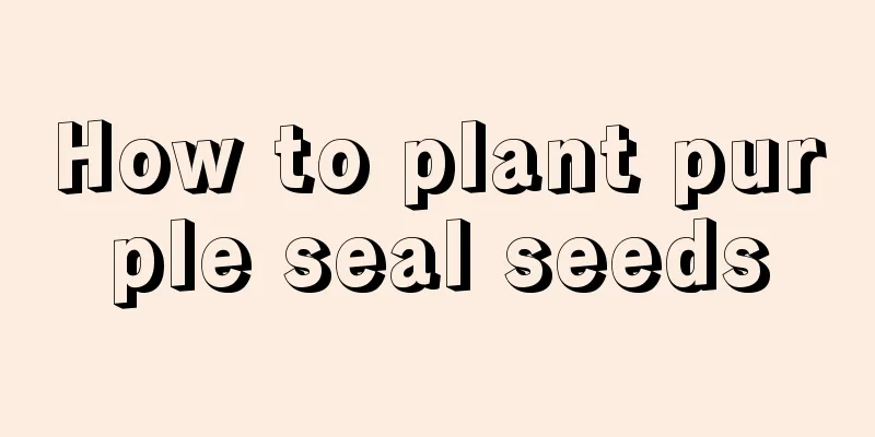 How to plant purple seal seeds