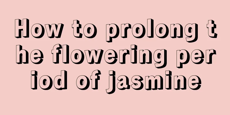 How to prolong the flowering period of jasmine