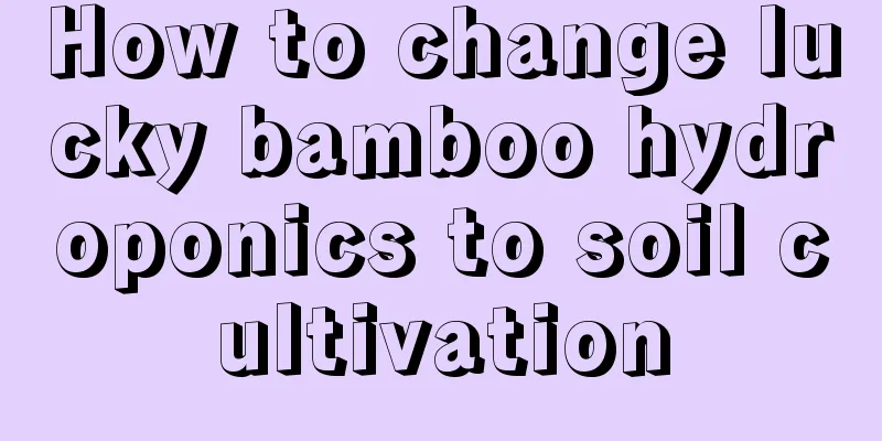 How to change lucky bamboo hydroponics to soil cultivation