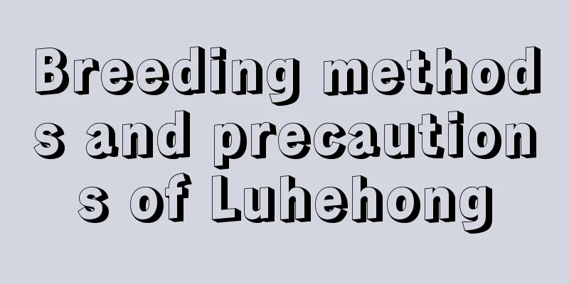 Breeding methods and precautions of Luhehong