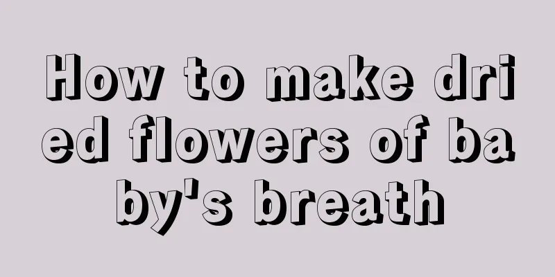 How to make dried flowers of baby's breath