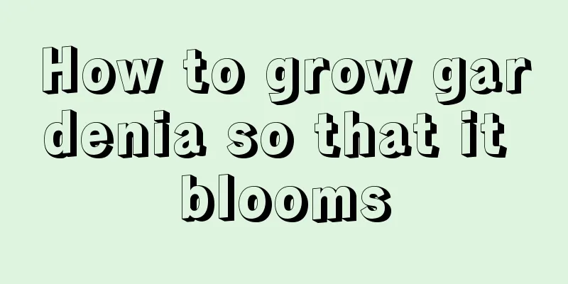 How to grow gardenia so that it blooms