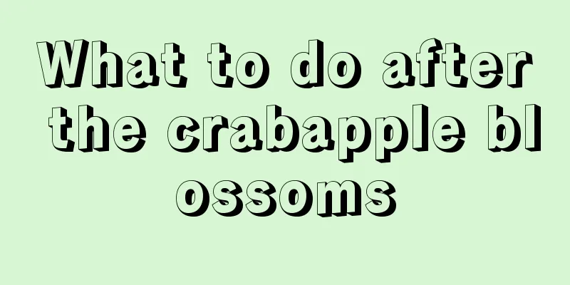 What to do after the crabapple blossoms