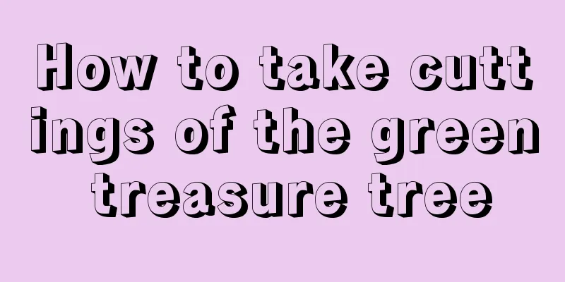 How to take cuttings of the green treasure tree