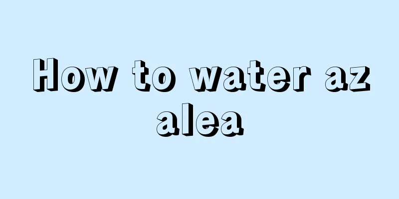 How to water azalea