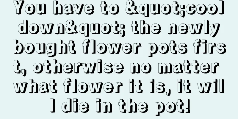 You have to "cool down" the newly bought flower pots first, otherwise no matter what flower it is, it will die in the pot!