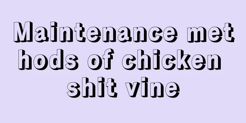 Maintenance methods of chicken shit vine