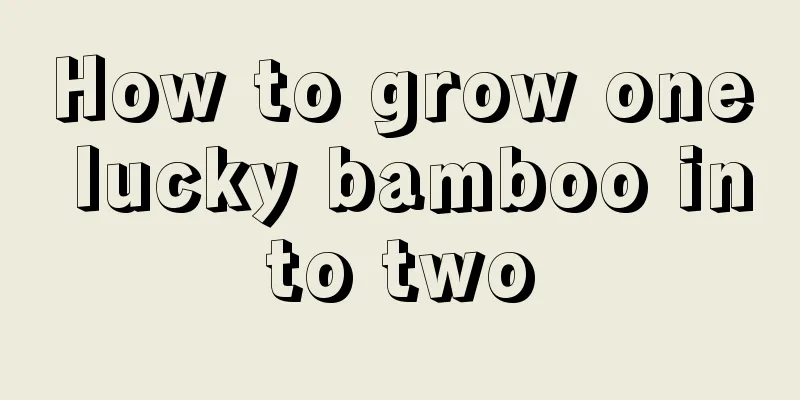 How to grow one lucky bamboo into two