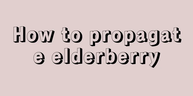 How to propagate elderberry