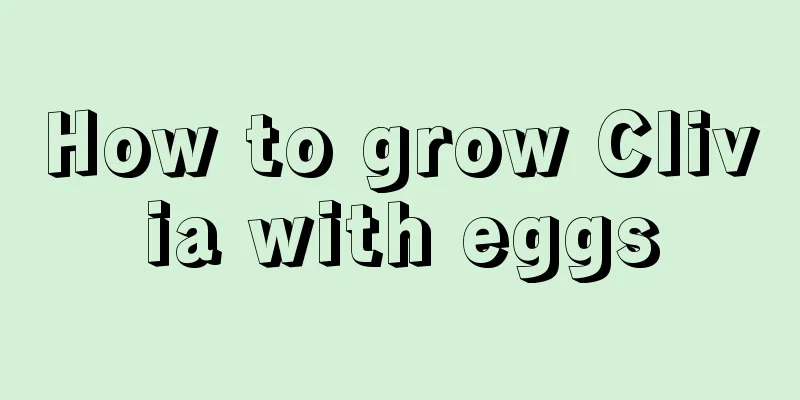 How to grow Clivia with eggs