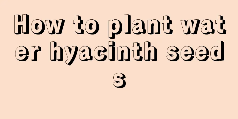 How to plant water hyacinth seeds