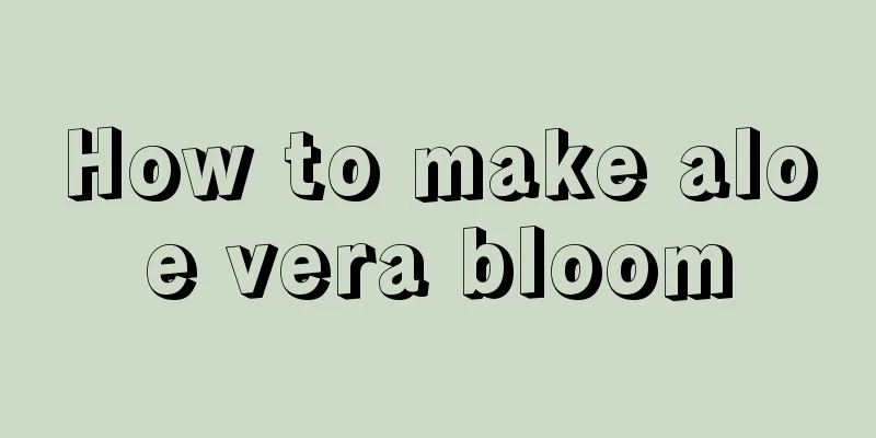 How to make aloe vera bloom