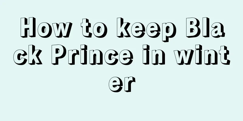 How to keep Black Prince in winter