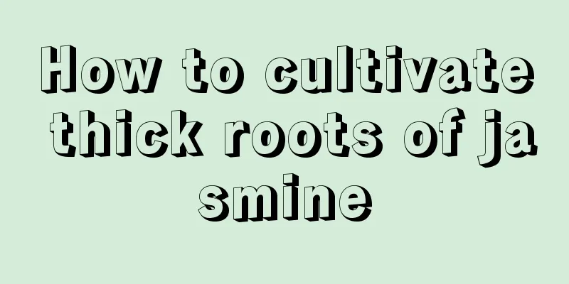 How to cultivate thick roots of jasmine