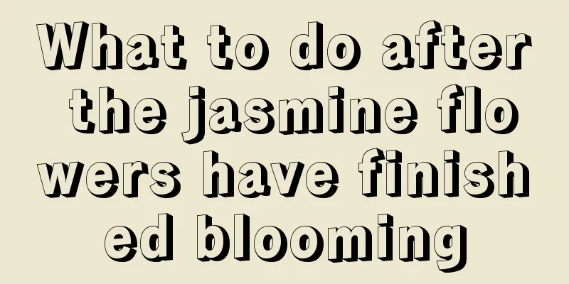 What to do after the jasmine flowers have finished blooming