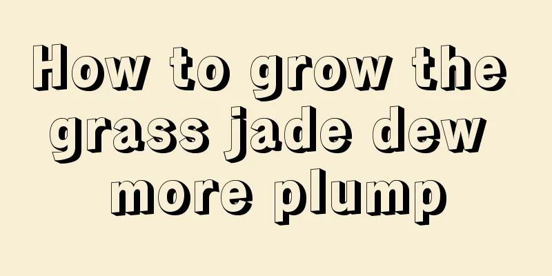 How to grow the grass jade dew more plump