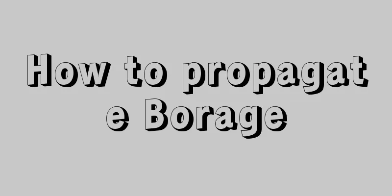 How to propagate Borage