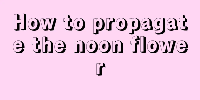 How to propagate the noon flower