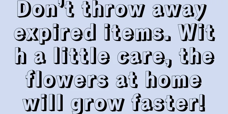 Don’t throw away expired items. With a little care, the flowers at home will grow faster!