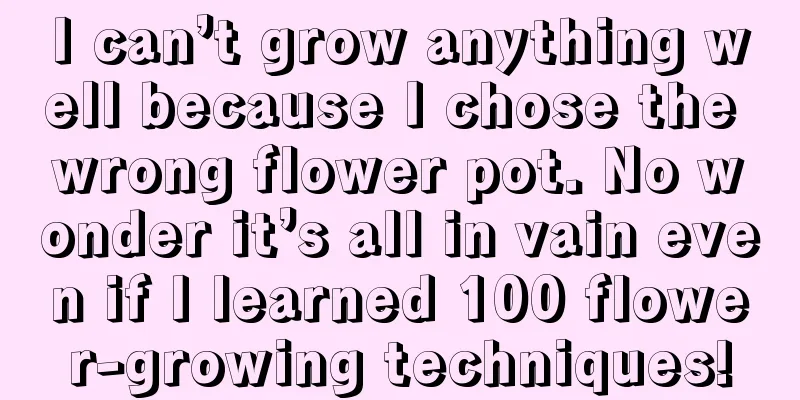 I can’t grow anything well because I chose the wrong flower pot. No wonder it’s all in vain even if I learned 100 flower-growing techniques!