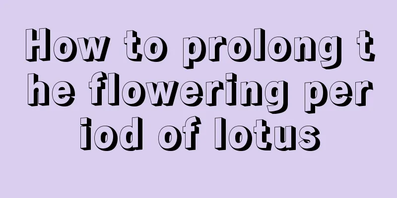 How to prolong the flowering period of lotus