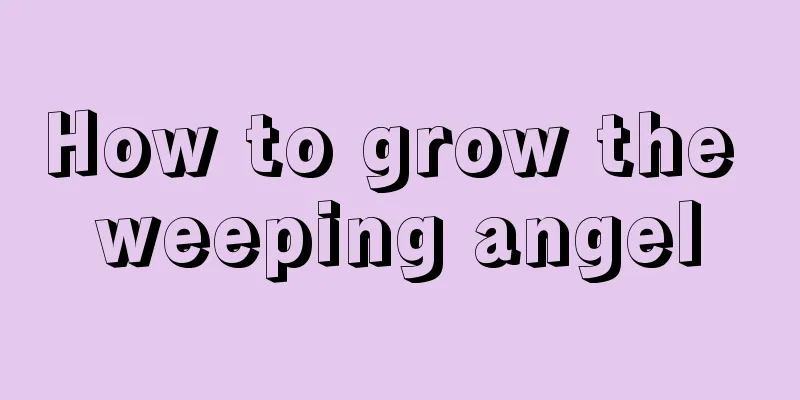 How to grow the weeping angel