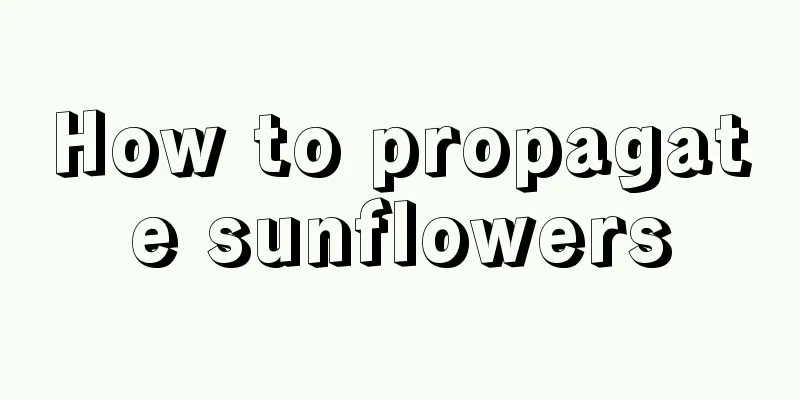 How to propagate sunflowers