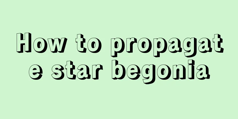 How to propagate star begonia