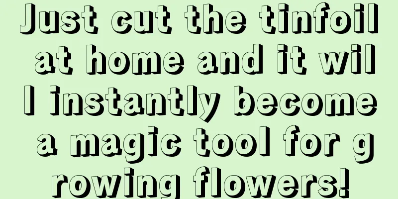 Just cut the tinfoil at home and it will instantly become a magic tool for growing flowers!