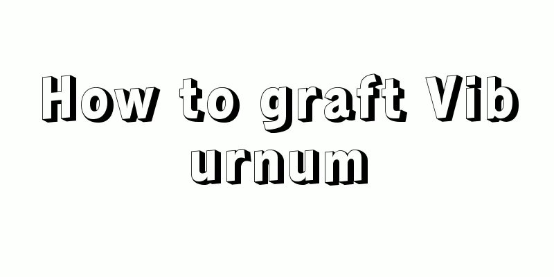 How to graft Viburnum