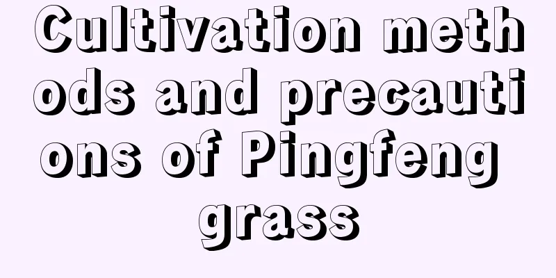 Cultivation methods and precautions of Pingfeng grass