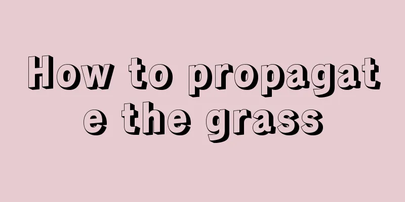 How to propagate the grass