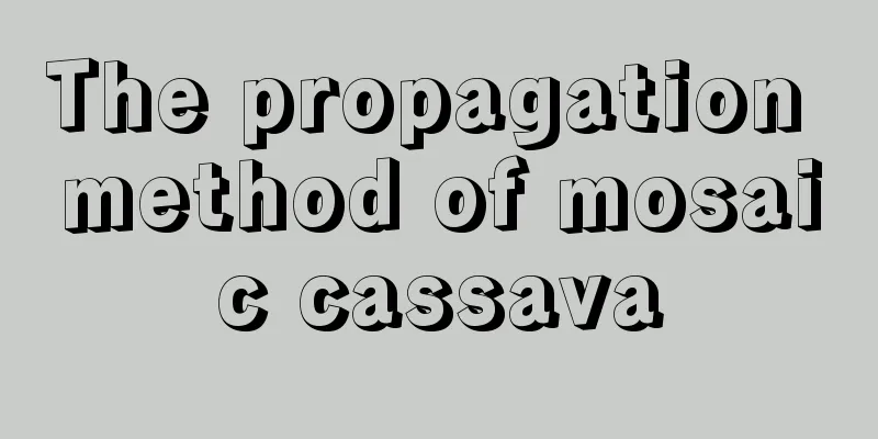 The propagation method of mosaic cassava