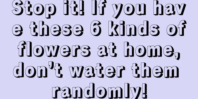 Stop it! If you have these 6 kinds of flowers at home, don’t water them randomly!