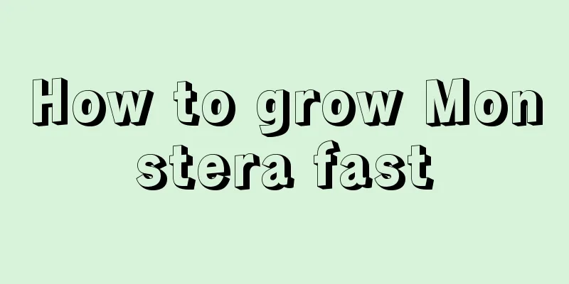 How to grow Monstera fast