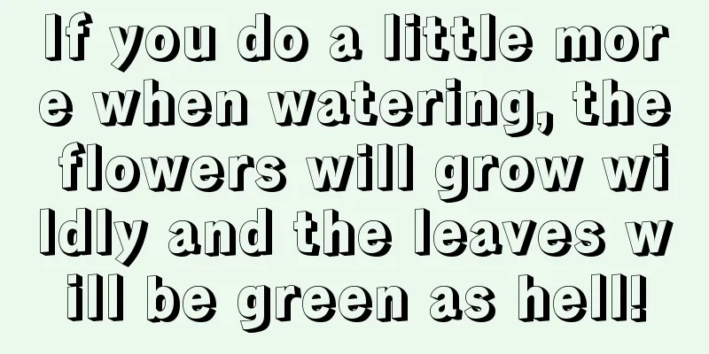 If you do a little more when watering, the flowers will grow wildly and the leaves will be green as hell!