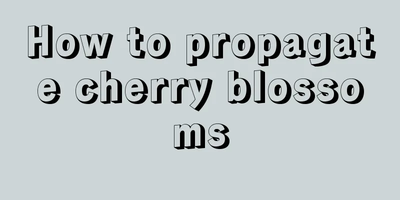 How to propagate cherry blossoms