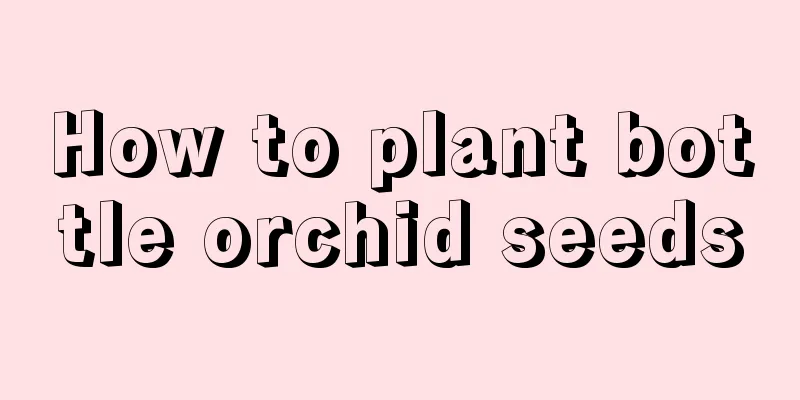 How to plant bottle orchid seeds