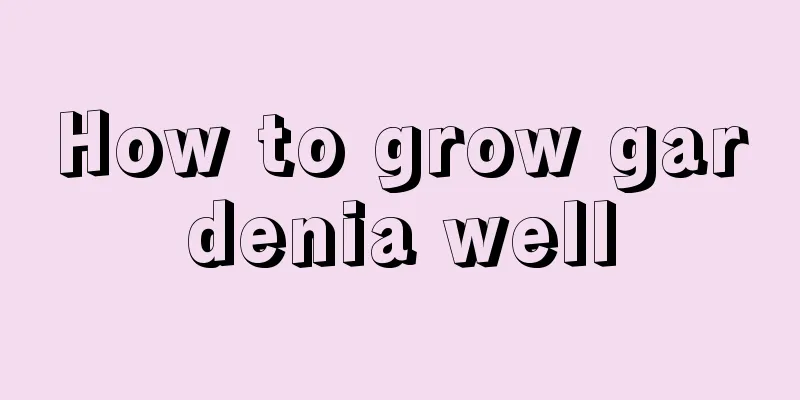 How to grow gardenia well