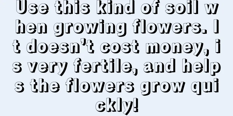 Use this kind of soil when growing flowers. It doesn’t cost money, is very fertile, and helps the flowers grow quickly!