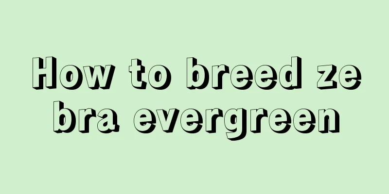 How to breed zebra evergreen