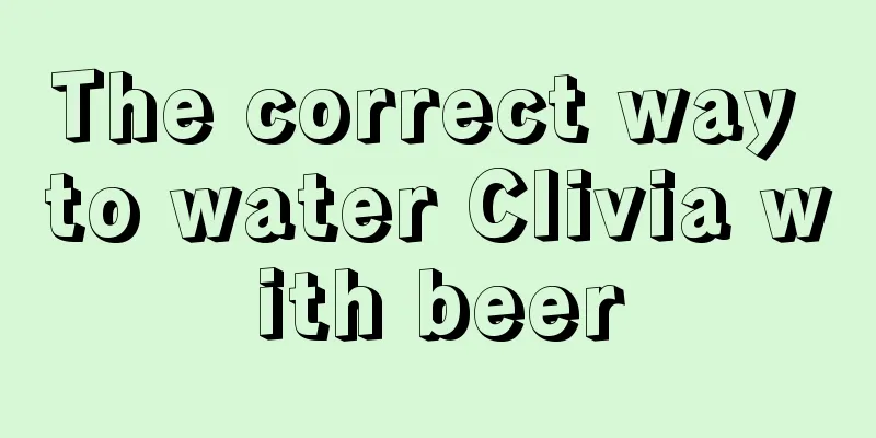 The correct way to water Clivia with beer