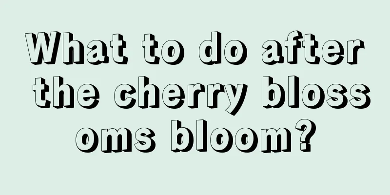 What to do after the cherry blossoms bloom?