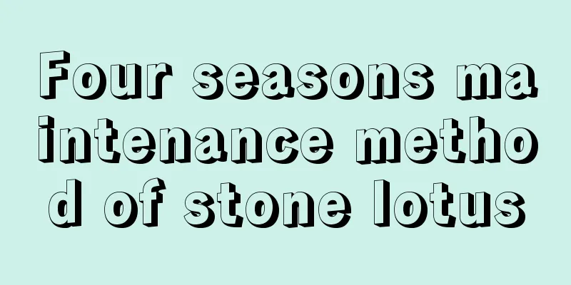 Four seasons maintenance method of stone lotus